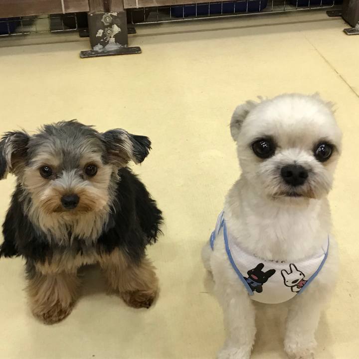 91803e94 896e 42e8 a50b efa1fe909aec 1532091950979