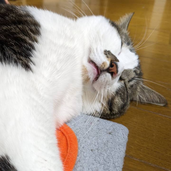 91805644 d762 44e2 9b5c 95ac4c700f35 1703420758855