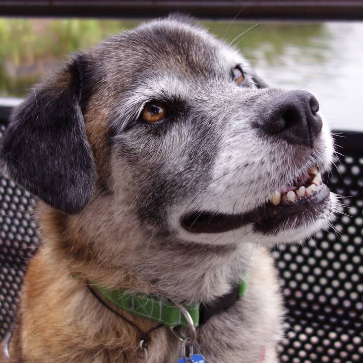 918064ac a77b 448c a7d8 fd1e923bf0c9 1646011259920