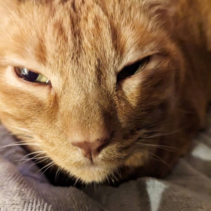 91807791 9ae2 4392 9e45 0929c9a5b17a 1674693927963