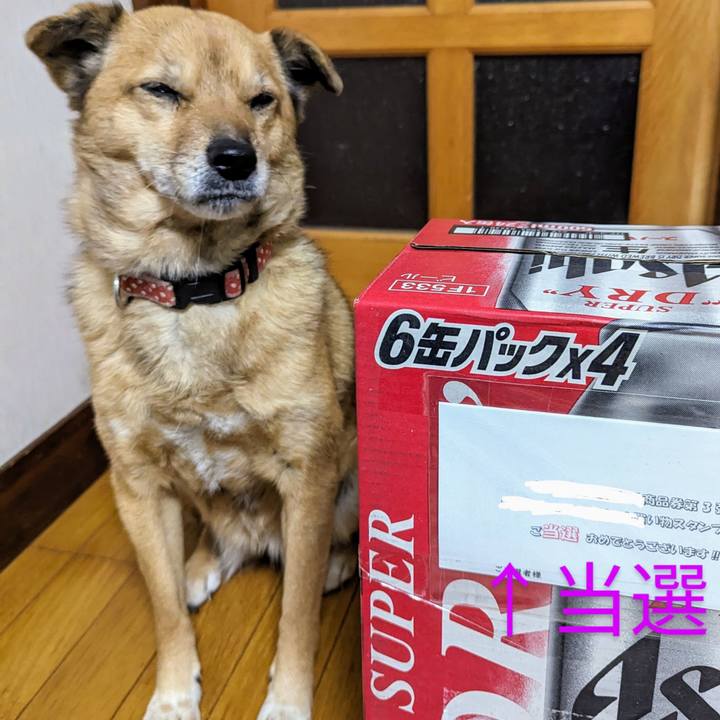 91809861 063b 4407 8099 f6bef4360fbc 1703597473963