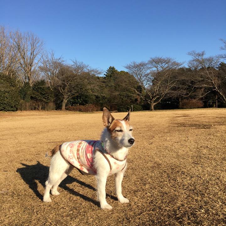 9180df14 9e17 4231 91dd c1981e1afd7c 1641252245883