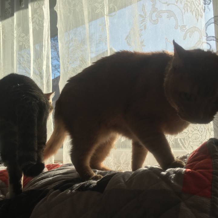 9180e03a 81c5 45f4 8834 eacd75789c97 1617457321811