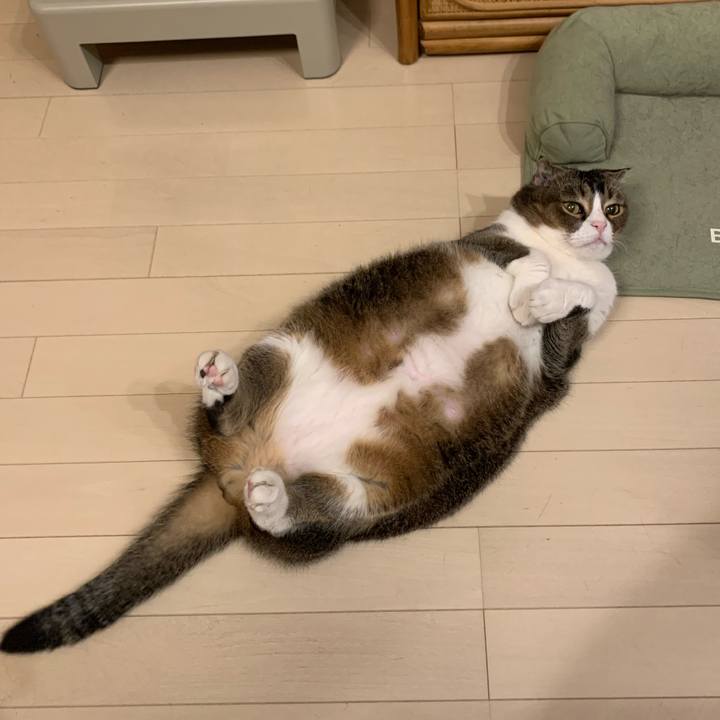 9180e21e b128 41f8 856b e86f205a3336 1687361382608