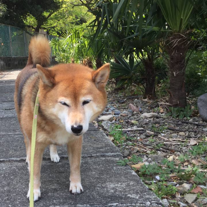 9180fe03 a1b8 46e6 8c27 b934f6b646ba 1587010648354