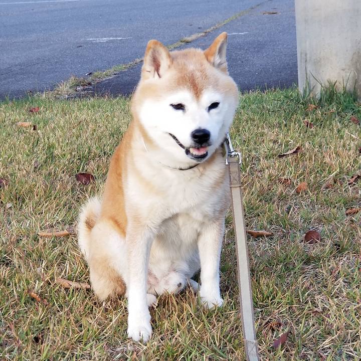 91816e9b 11c6 4d2d 8a42 b2c70ed8cd6d 1698044781250