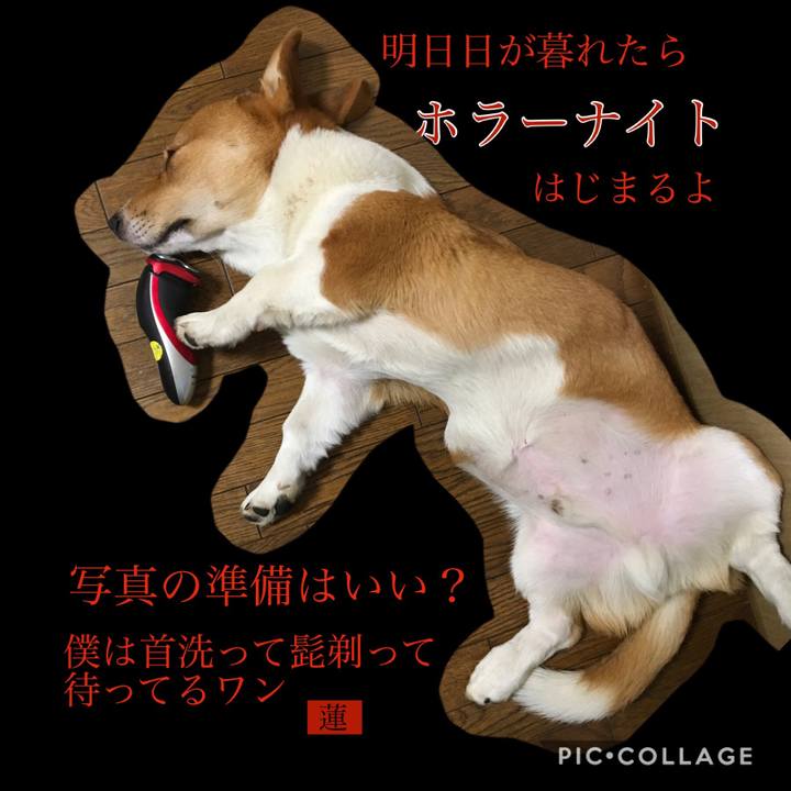 91817053 95d6 48bc 9205 62accf60330b 1598576276901