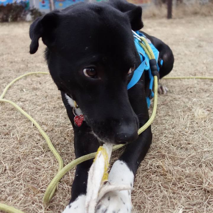 9181b66b cf42 4e4a aad0 83b8821dd70d 1611360767774