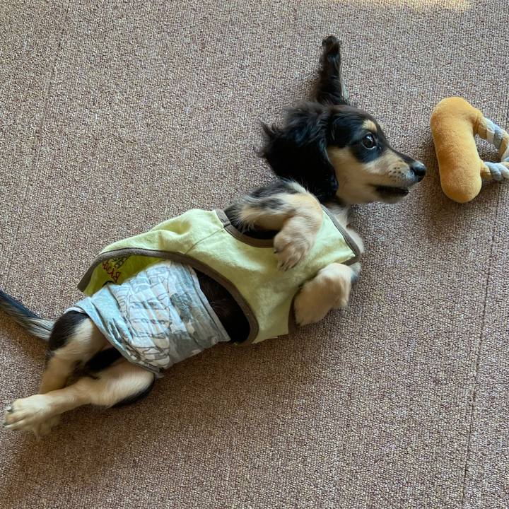 9181cbee 7dce 4182 9c25 5cff38fbce11 1666502807206