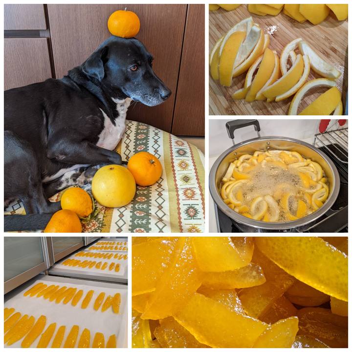 9181cf41 1117 4bfa b17e ca00651f194c 1677928072545