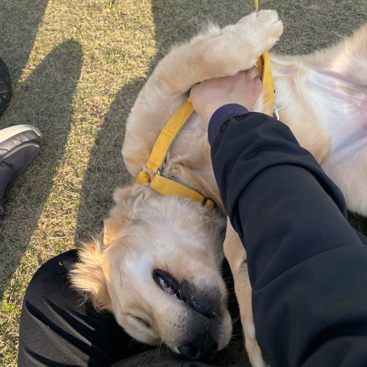 9181dd8c 8881 4d49 90b6 221e72e4c635 1679223552059