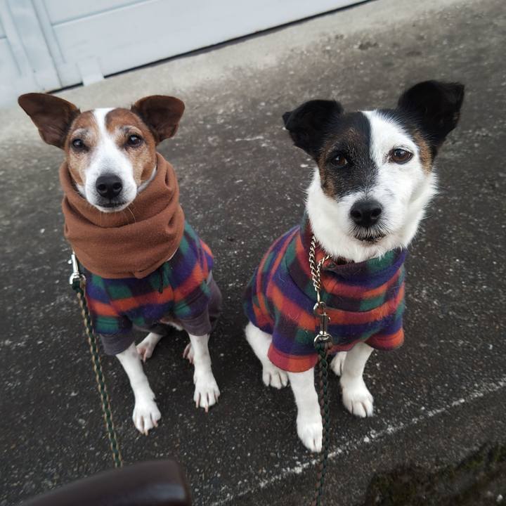 9181f21c 05e5 4bd4 8bdf 1e4e9796d3c6 1766440357658