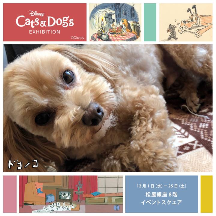 918247c4 9166 4c76 b5ef beb64cfe750e 1638338724114