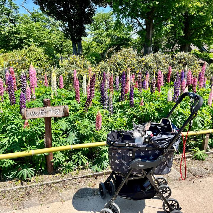 9182637d 098f 4314 b87c c4408b088706 1651545954772