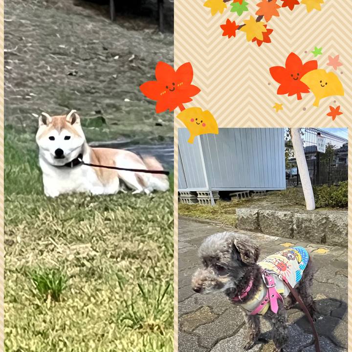 91826e7b 87d7 4ffc a729 710a4147318a 1697271900828