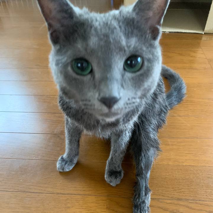 9182708b 5ab5 4f10 a6d6 da83362919aa 1593223411529