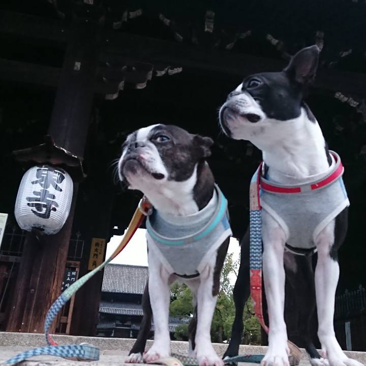 9182def1 c956 4fde 9980 2c52366aa014 1541804875636