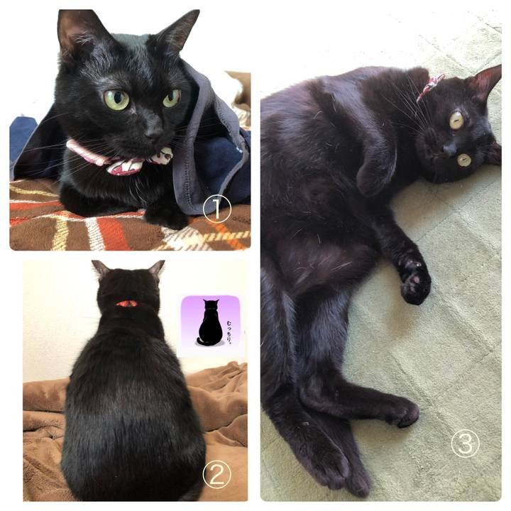 9182e287 c97f 4153 9779 88a80faf4c2b 1585106700257