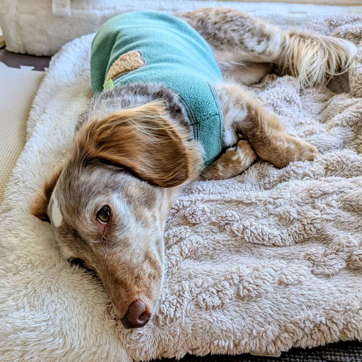 918307aa 5357 41ad a6df e3d7a1ffb60f 1771467285611