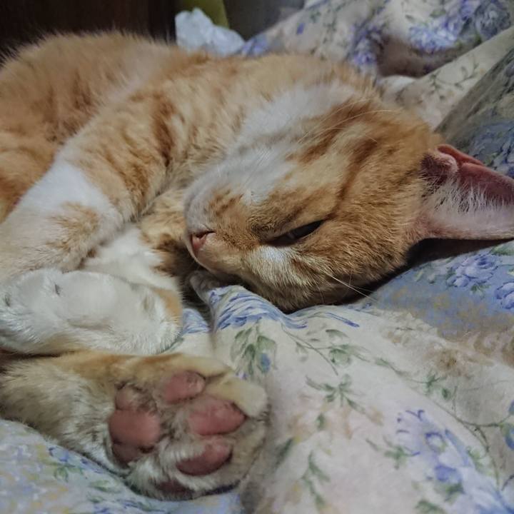 9183095f c6b6 47d6 9c16 f228097e354e 1589286204395