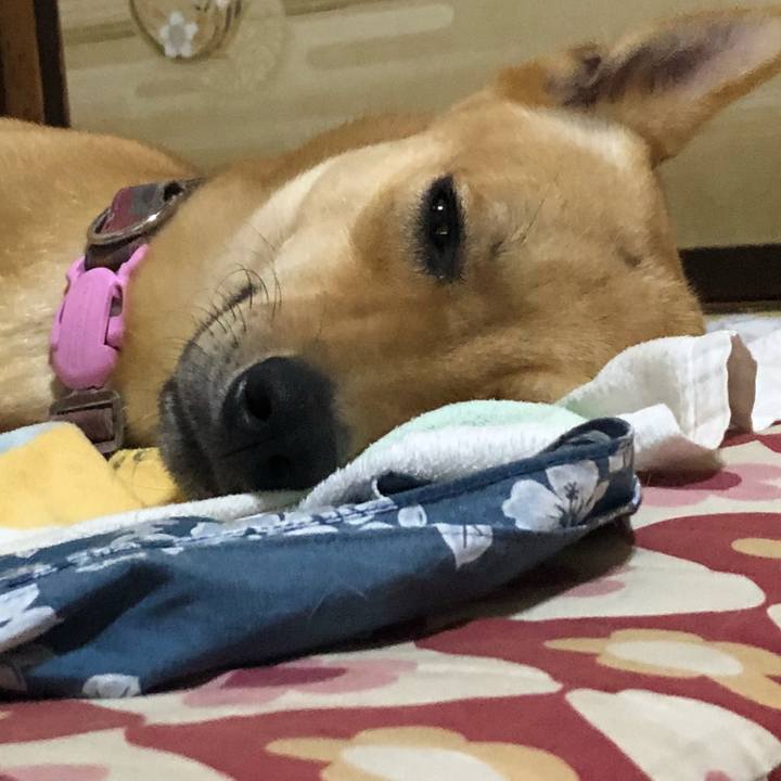 9183209d f477 4e05 8836 c41b5d214b19 1534391445616