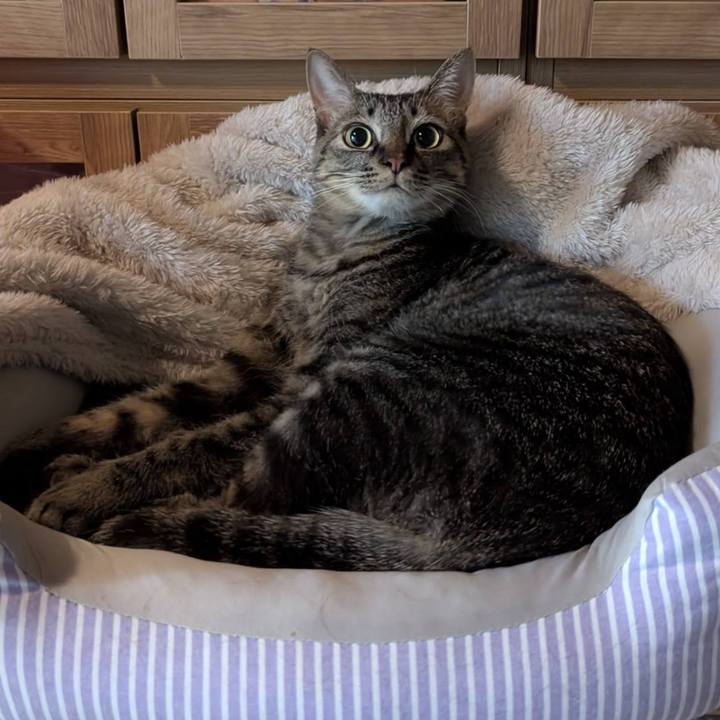 918328c6 3e4f 4c72 a890 d3bdc9491c1b 1736582414402