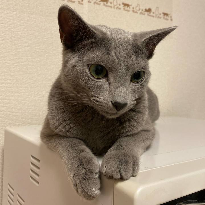 91833e82 530f 4d4c a534 74c00e9b58cf 1629847088317