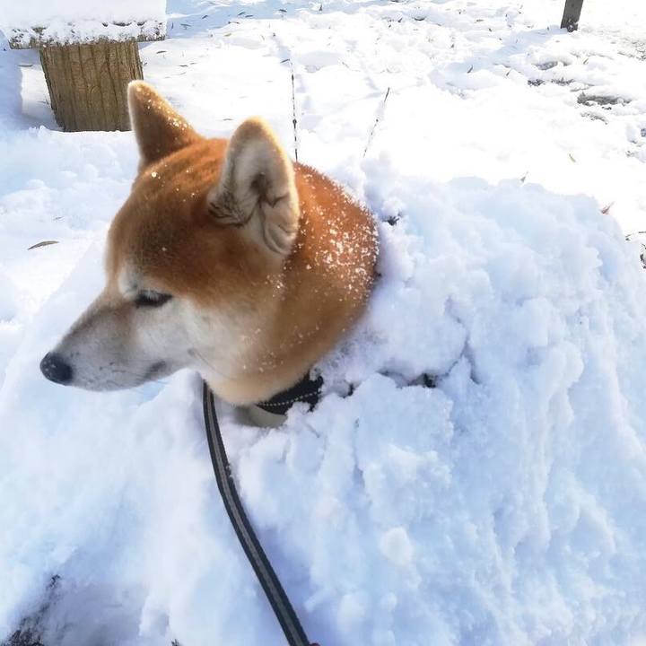 91834013 f22d 4517 add5 6889ec12828f 1542939414627