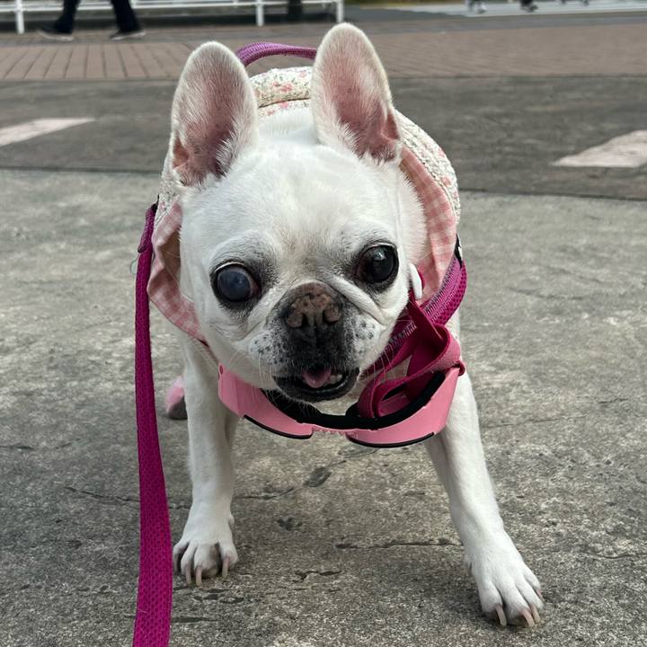 9183513d 585d 465c 9b48 384831ac6420 1763696657644