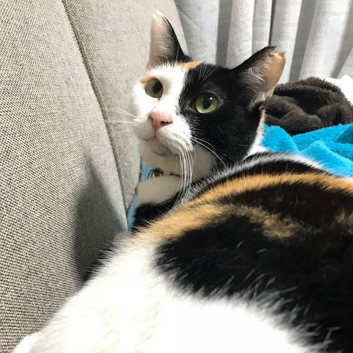 918353fb 7421 470a 9b55 975aad7d8c53 1523288085014