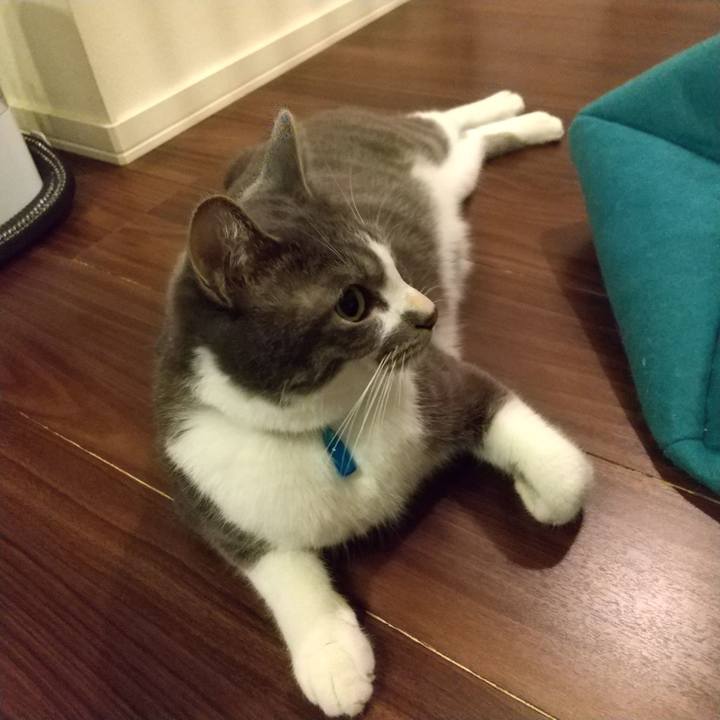 9183809e 9954 4d21 a629 1d42ae7e0ef6 1606824377699