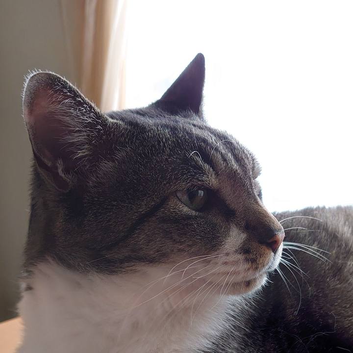 9183a272 0cc4 4b80 b403 f6508b448f03 1688182750883