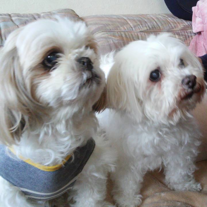 9183f060 bbd7 49d6 8689 006883198b42 1555818685978