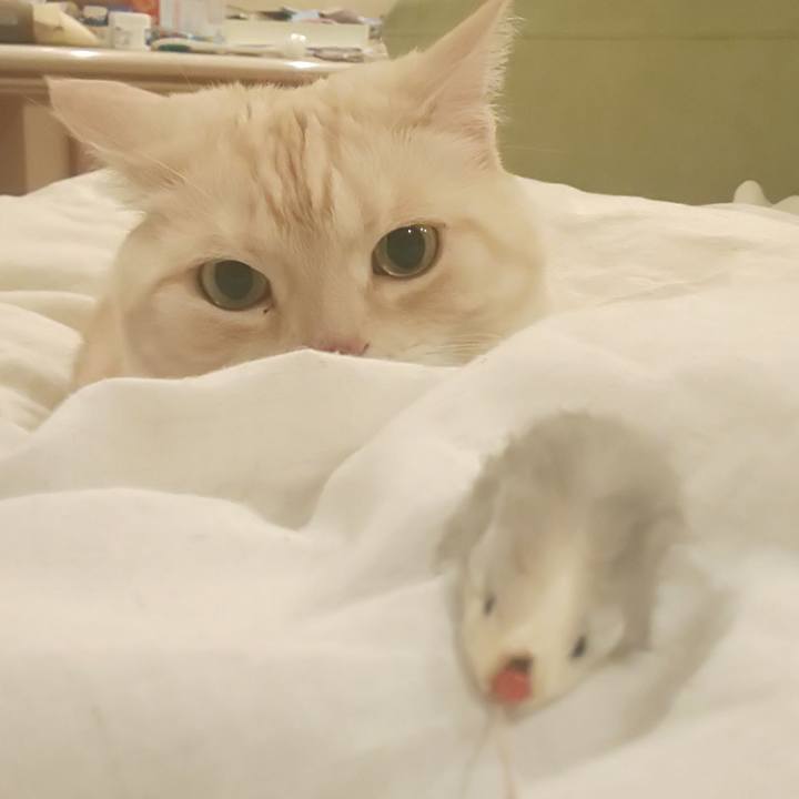 91845e26 e5e1 469d aa79 ed2edddd0806 1590923344507