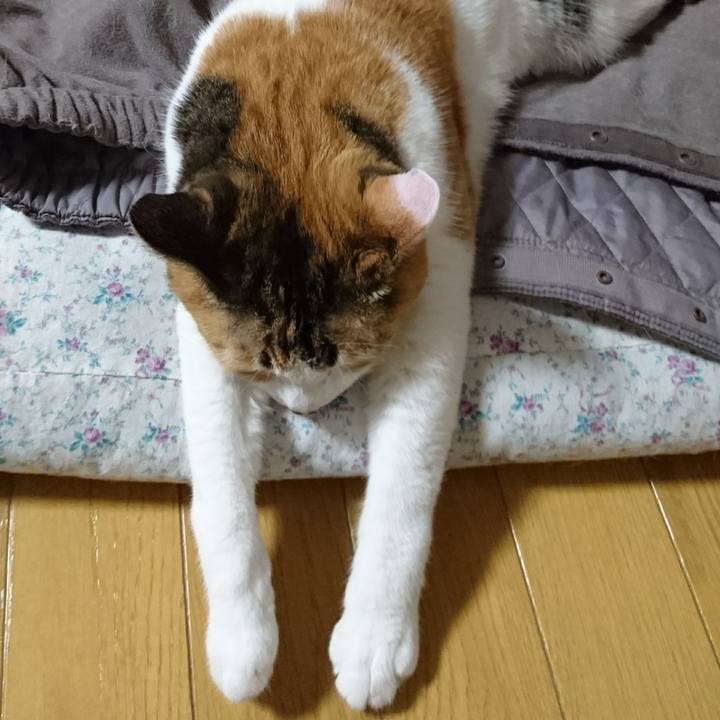 91846f10 7e75 4c3e a2b9 3ba4796efb7e 1553254522081