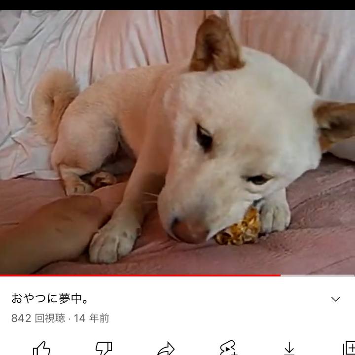 9184800f 7c81 4c35 be6d 674f9aafb884 1664265937985