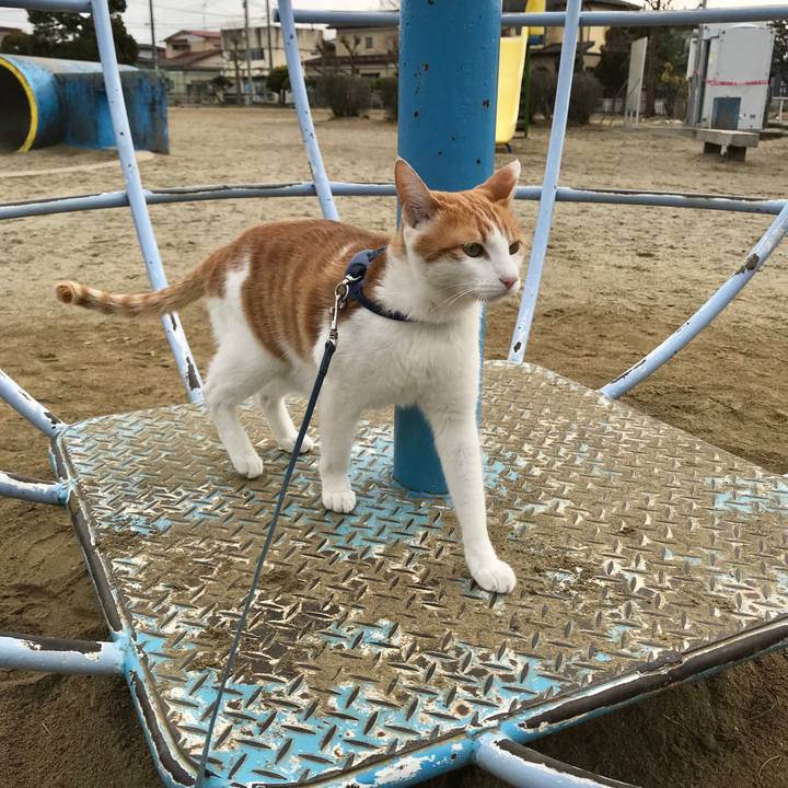 9184b022 a699 484b 849f 8de8087dcc08 1516079035150