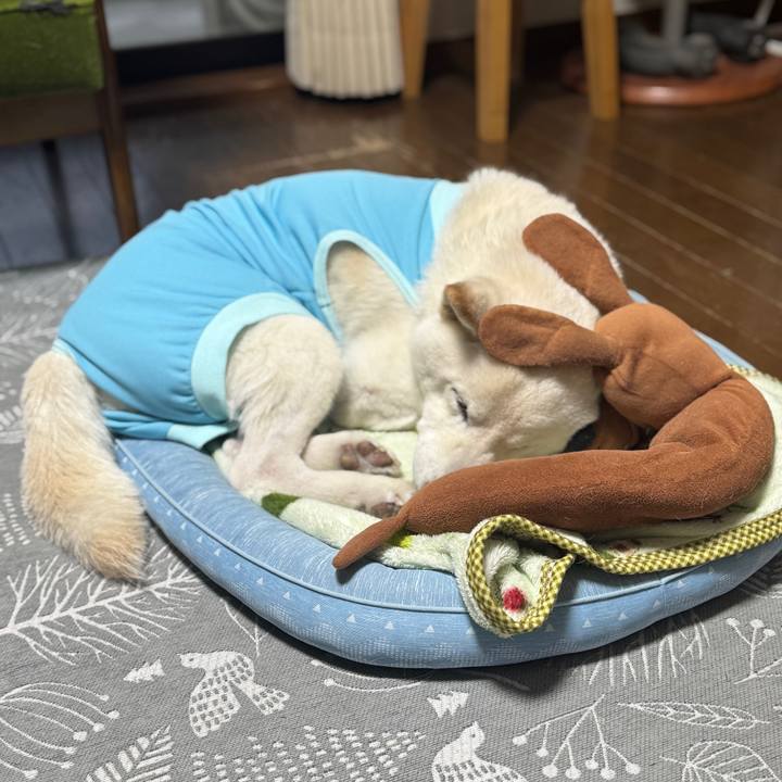 9184c4a6 19bd 41f4 9e63 1a76689f6695 1768982029593