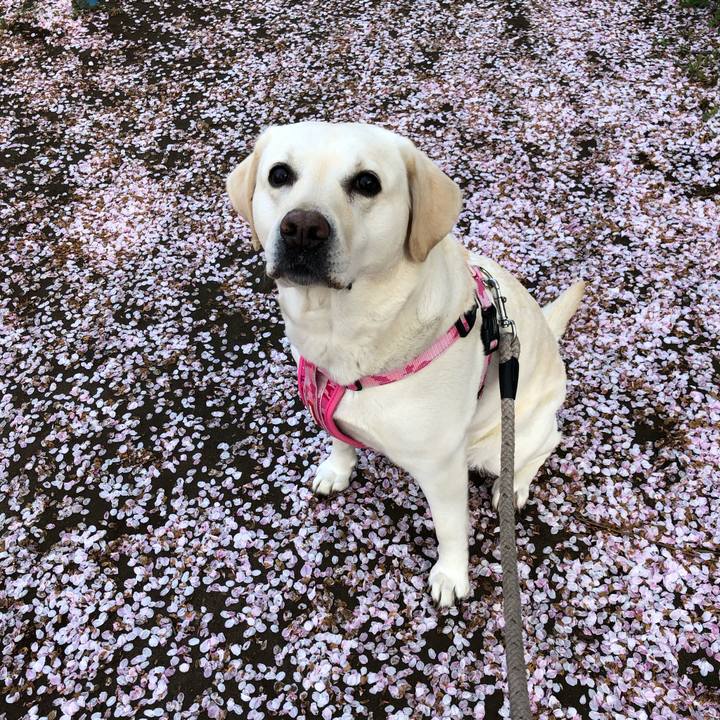 9184dbf9 2d5e 4123 a0f4 d5d6e8f178a5 1617408885870