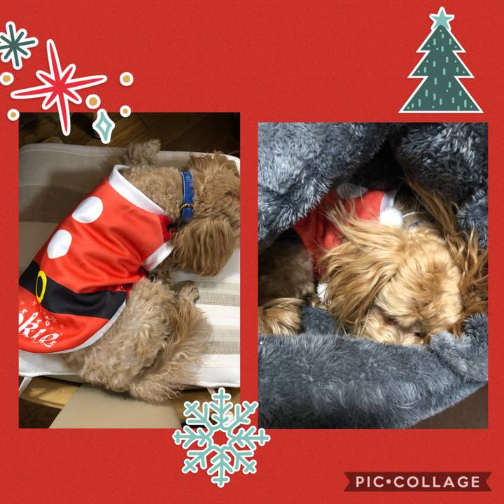 91851029 1ecd 4a4a 8ca6 c09fa00fe1fa 1608477087659