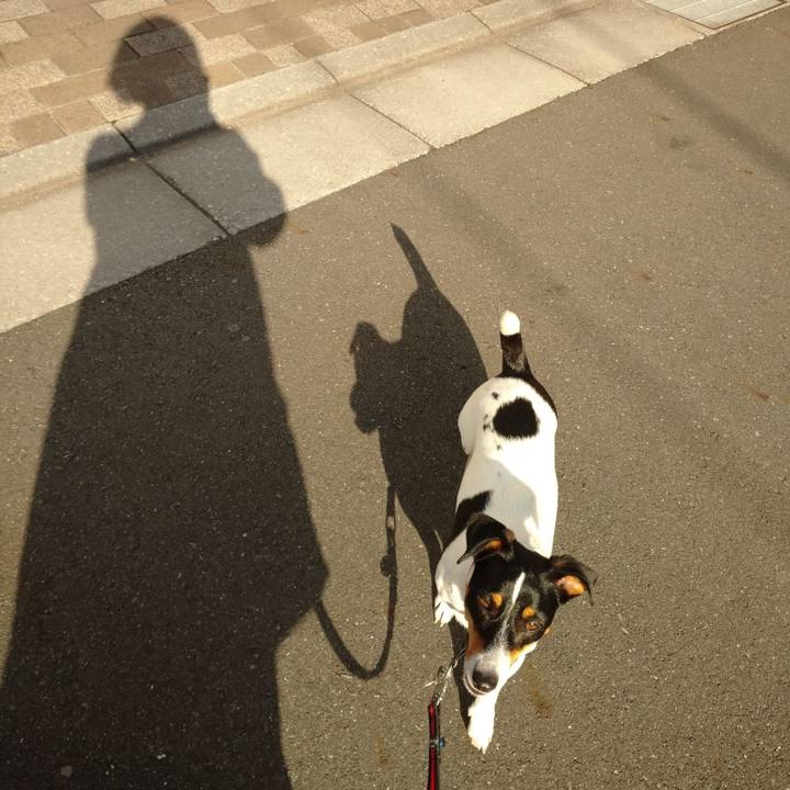 91851985 a2ae 4ec4 8440 eb5dc84333f7 1602055642360