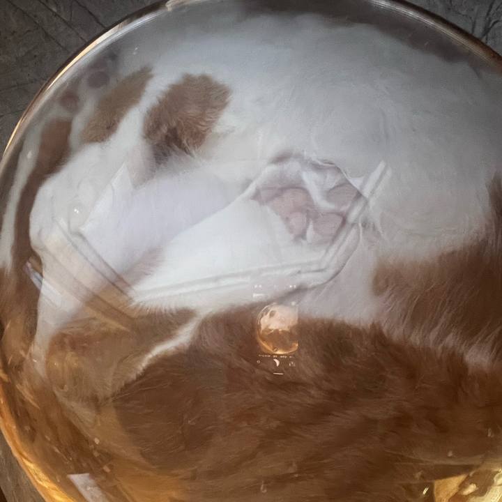 91852e45 7c07 48fd a98e 5922841952bc 1707438543073