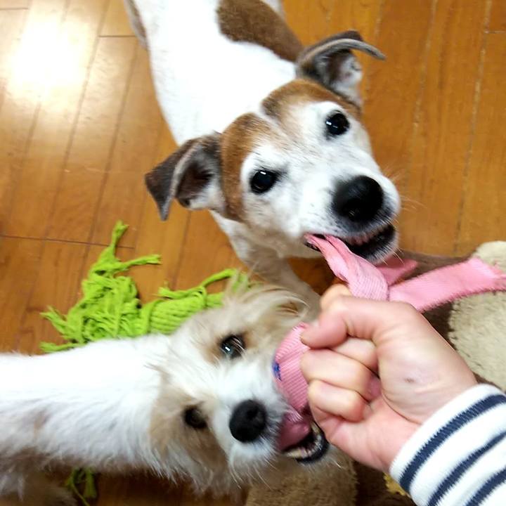 9185eedc 1ed0 4d7b ad4e 088ddbe7437a 1553896623408