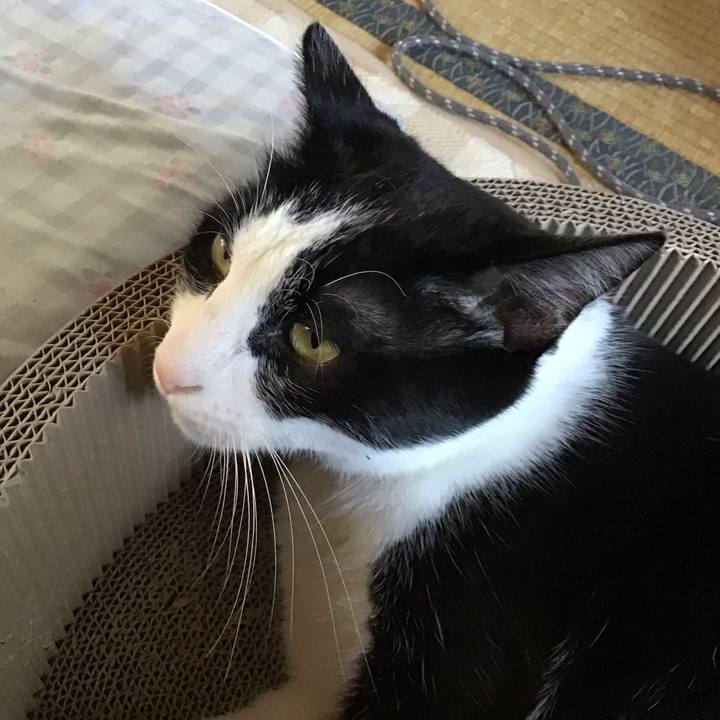 9185f4bb 4c46 4143 8579 b4700981a0ff 1698409652798