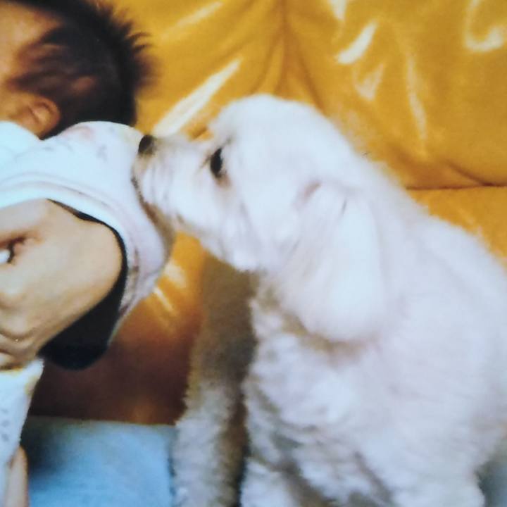 9186140c 8884 4eca ab41 3554225f825e 1570379195171