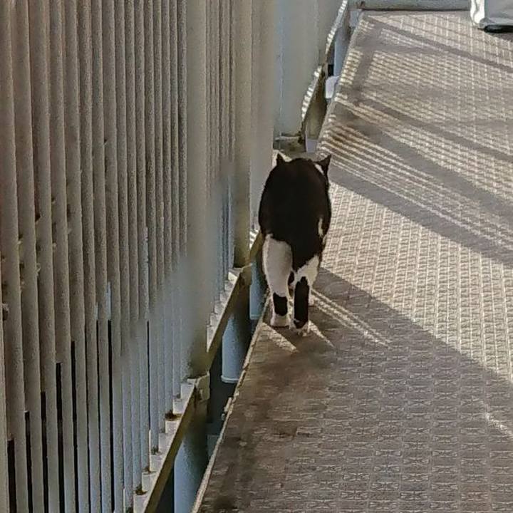 918623cf ffb3 4386 a0b4 63da22367815 1660188566980