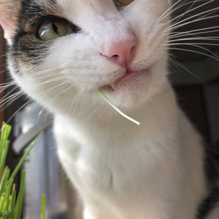 91864fa0 1751 477d a639 6b87d078f646 1659048595922