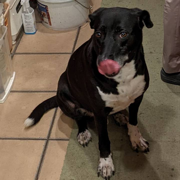 918662a8 96e7 421e aae8 06aeb3d6700d 1695121022570