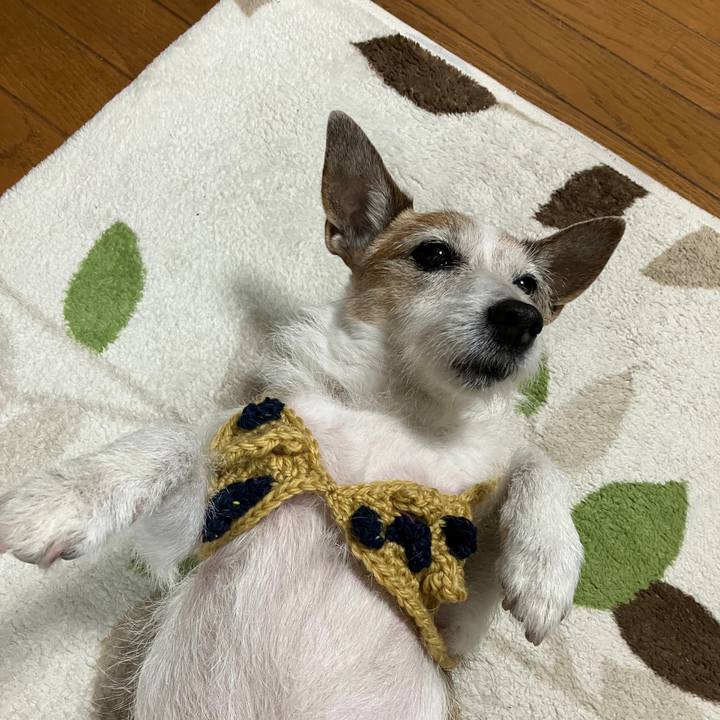 91868459 625c 45e5 a7b6 05c00973e1d6 1738537757529