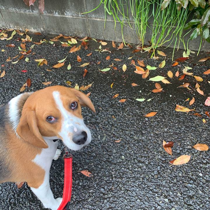 91869167 bf23 4ab3 a6c7 3b010503c103 1587192625752